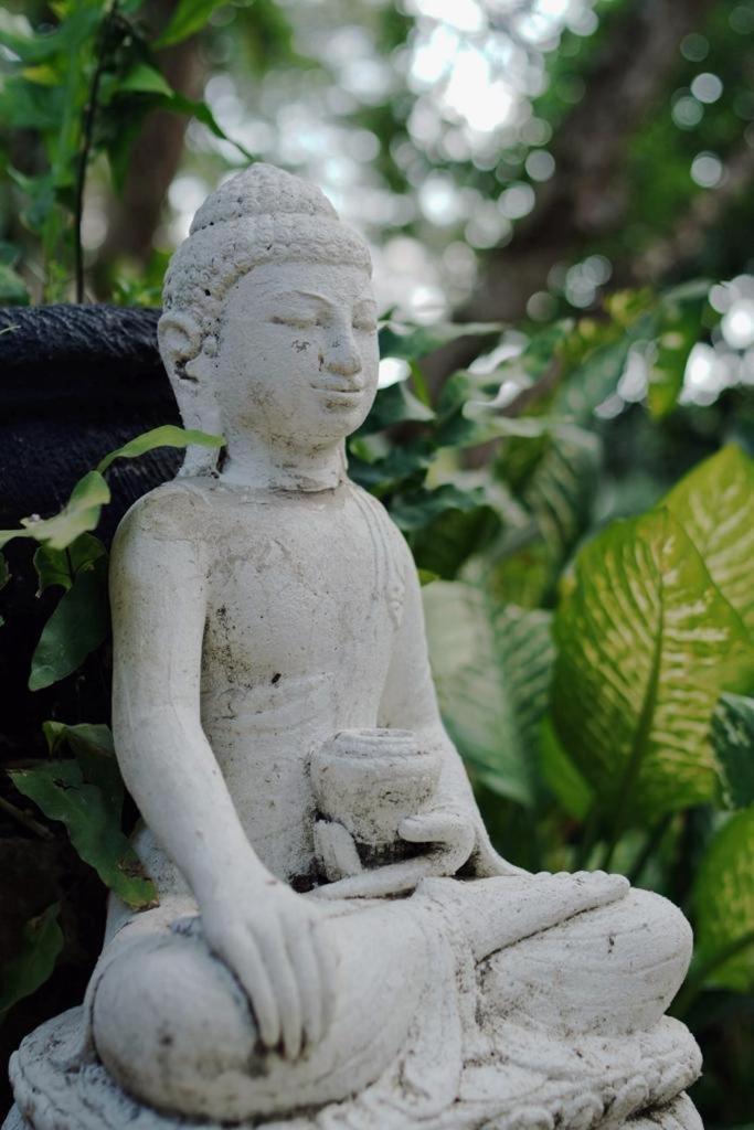 Sattva Yoga Retreat Villas Canggu Zewnętrze zdjęcie